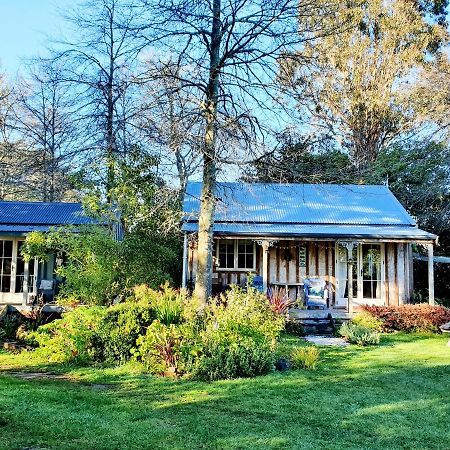 Bumblebee Cottage Greytown Ngoại thất bức ảnh
