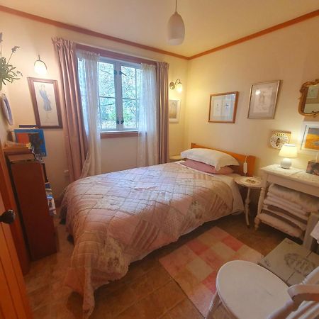 Bumblebee Cottage Greytown Ngoại thất bức ảnh